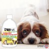 Tracenet éco-recharge 250 ml à diluer pour souillures de chiens