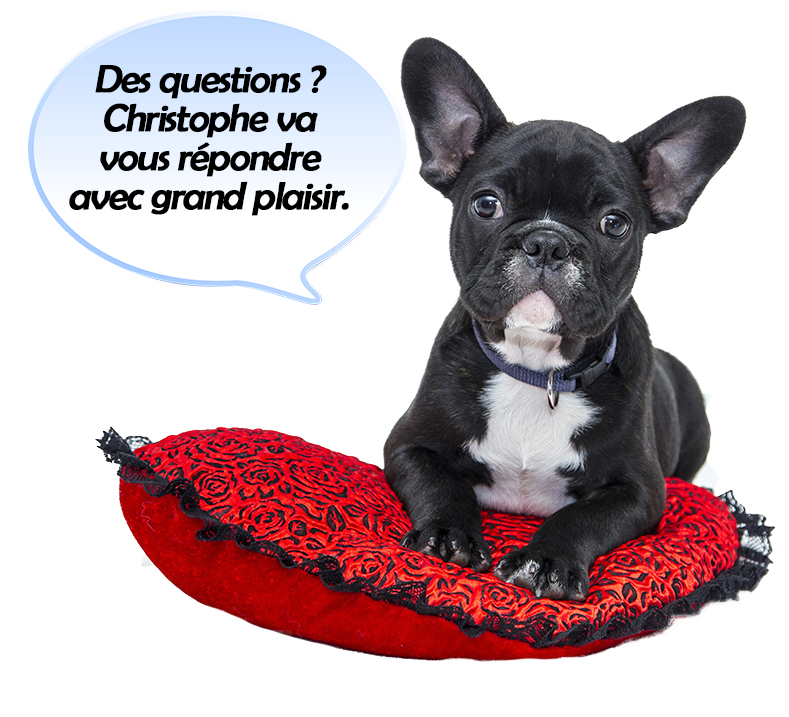 Christophe de TRACEnet répond à vos questions